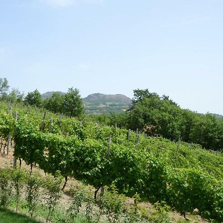 Agriturismo Ca' Del Sartu Βίλα Bobbio Εξωτερικό φωτογραφία