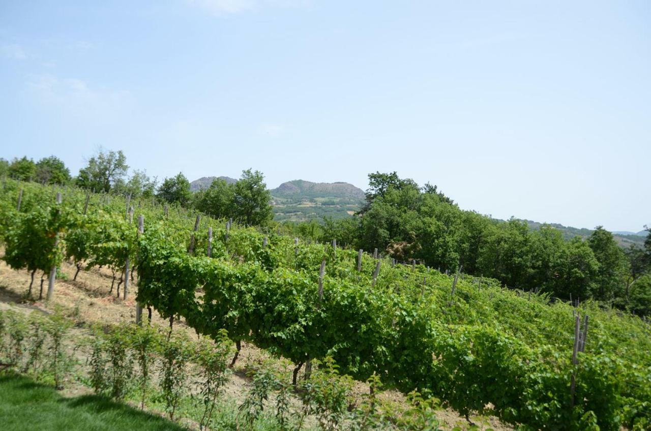 Agriturismo Ca' Del Sartu Βίλα Bobbio Εξωτερικό φωτογραφία